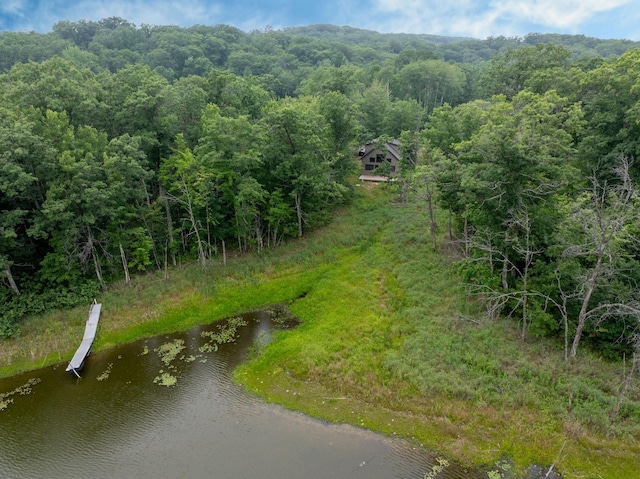 N9842 Gardner Lake Rd, Gull Lake Twp, WI 54875 - photo 42