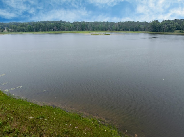 N9842 Gardner Lake Rd, Gull Lake Twp, WI 54875 - photo 43