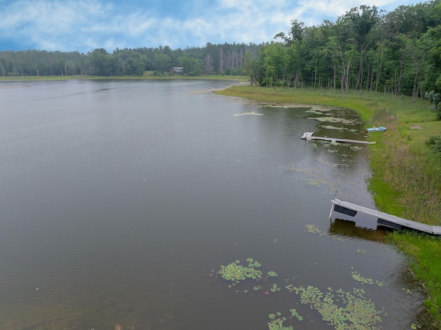 N9842 Gardner Lake Rd, Gull Lake Twp, WI 54875 - photo 44