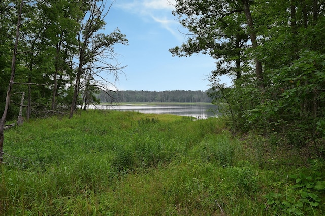 N9842 Gardner Lake Rd, Gull Lake Twp, WI 54875 - photo 45