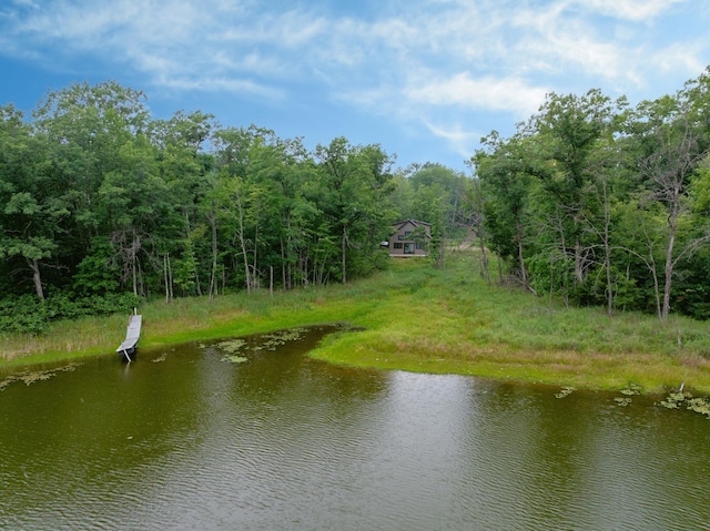 N9842 Gardner Lake Rd, Gull Lake Twp, WI 54875 - photo 46