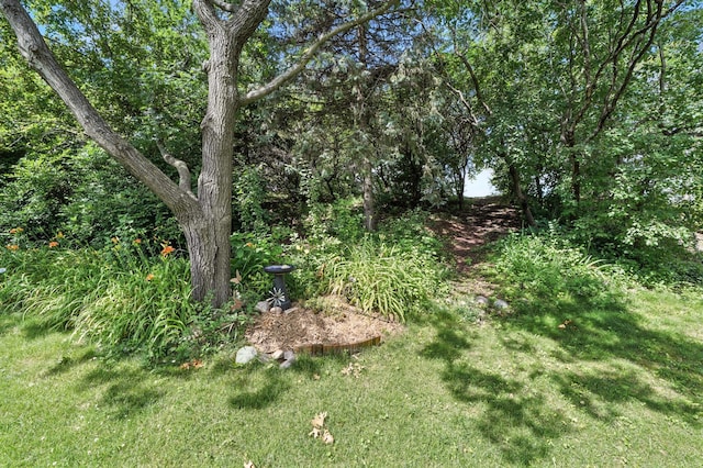 4049 Deerwood Trl, Eagan, MN 55122 - photo 51
