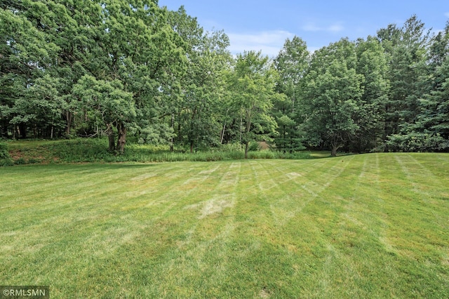 13441 Homestead Ave N, Hugo, MN 55038 - photo 71
