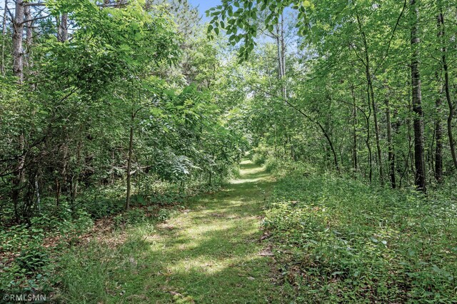 13441 Homestead Ave N, Hugo, MN 55038 - photo 74