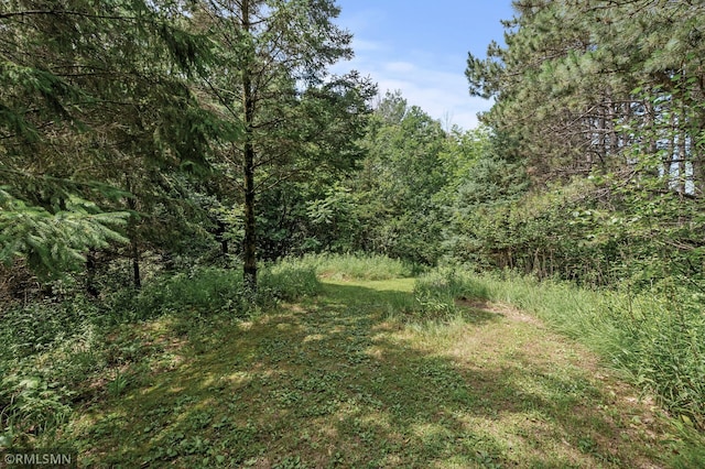 13441 Homestead Ave N, Hugo, MN 55038 - photo 75