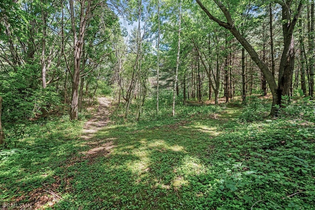 13441 Homestead Ave N, Hugo, MN 55038 - photo 76
