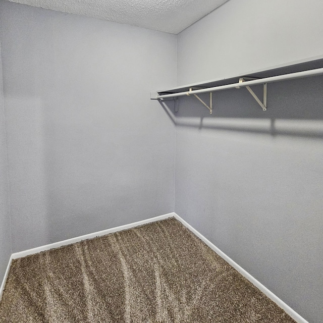 3253 Humboldt Ave N, Minneapolis, MN 55412 - walk in closet featuring carpet floors