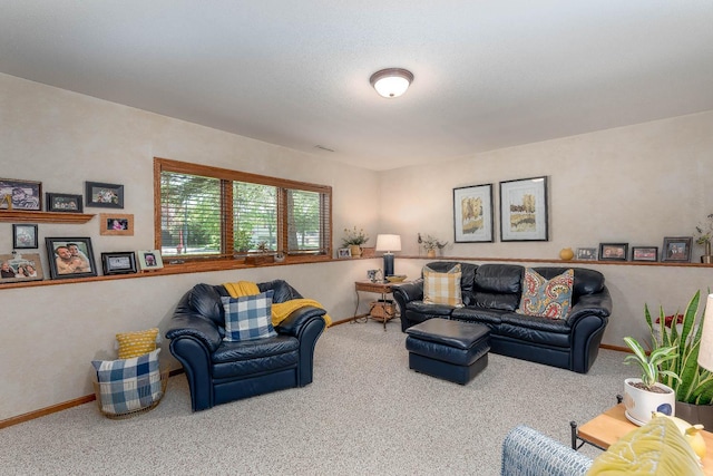 2045 Roberta Dr, North Mankato, MN 56003 - living area with carpet