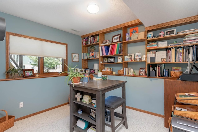 2045 Roberta Dr, North Mankato, MN 56003 - office space with baseboards and light carpet