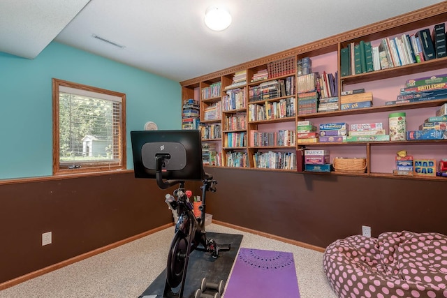 2045 Roberta Dr, North Mankato, MN 56003 - workout room with carpet floors and baseboards