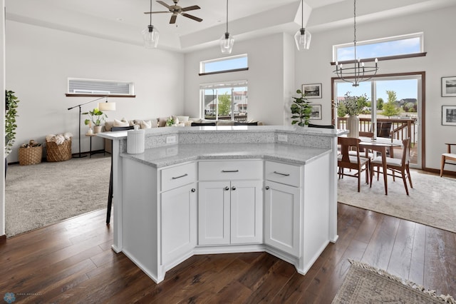 1592 69th Ave S, Fargo, ND 58104 - kitchen with dark wood-style floors, a raised ceiling, open floor plan, ceiling fan, and hanging light fixtures