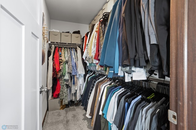 1592 69th Ave S, Fargo, ND 58104 - spacious closet with carpet floors