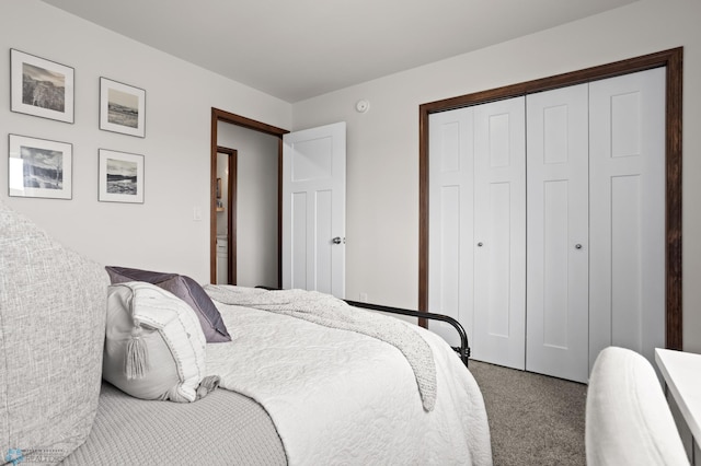 1592 69th Ave S, Fargo, ND 58104 - carpeted bedroom featuring a closet