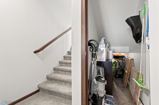 1592 69th Ave S, Fargo, ND 58104 - stairs featuring carpet