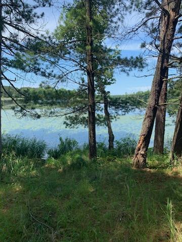 TBD Taylor Rd, Deerwood Twp, MN 56444