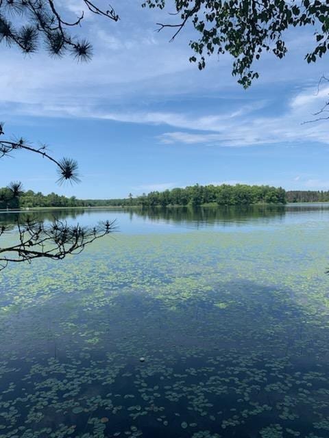 TBD Taylor Rd, Deerwood Twp, MN 56444