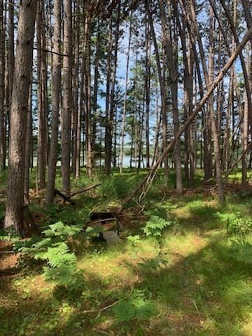 TBD Taylor Rd, Deerwood Twp, MN 56444