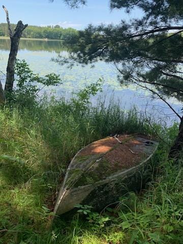 TBD Taylor Rd, Deerwood Twp, MN 56444