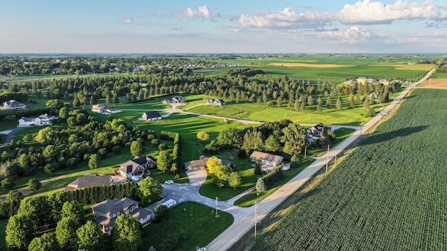 53030 254th Ave, Plainview Twp, MN 55964 - aerial view of property's location with rows of crops and rural landscape