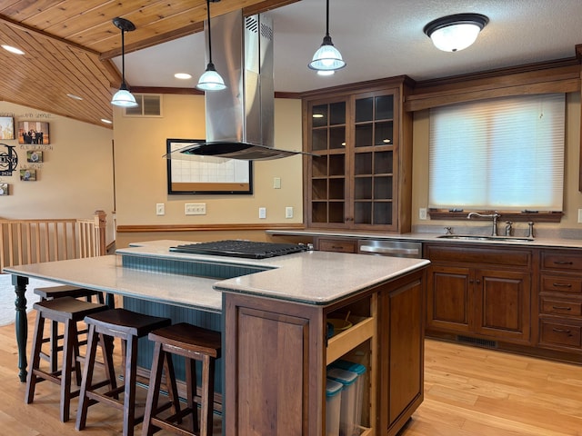 53030 254th Ave, Plainview Twp, MN 55964 - kitchen with island exhaust hood, a kitchen island, light wood-style flooring, a breakfast bar area, and light countertops