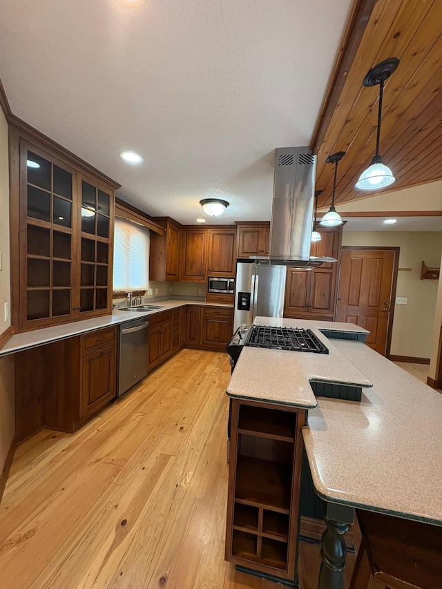 53030 254th Ave, Plainview Twp, MN 55964 - kitchen featuring stainless steel appliances, extractor fan, light wood finished floors, light countertops, and a kitchen island