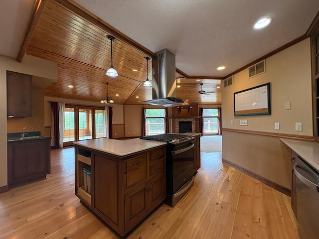 53030 254th Ave, Plainview Twp, MN 55964 - kitchen featuring gas stove, island range hood, dishwasher, open floor plan, and a fireplace