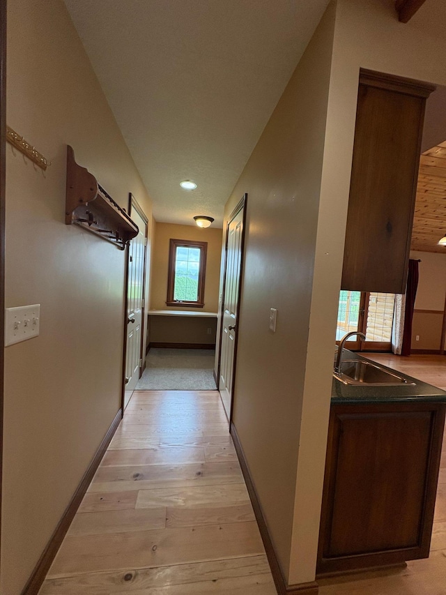 53030 254th Ave, Plainview Twp, MN 55964 - corridor featuring a sink and light wood-type flooring