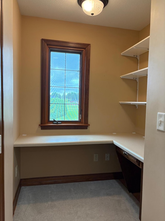 53030 254th Ave, Plainview Twp, MN 55964 - view of pantry