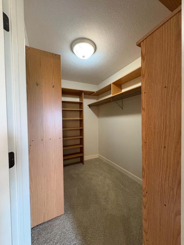 53030 254th Ave, Plainview Twp, MN 55964 - spacious closet featuring carpet flooring