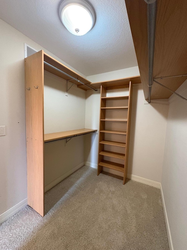 53030 254th Ave, Plainview Twp, MN 55964 - spacious closet featuring light colored carpet