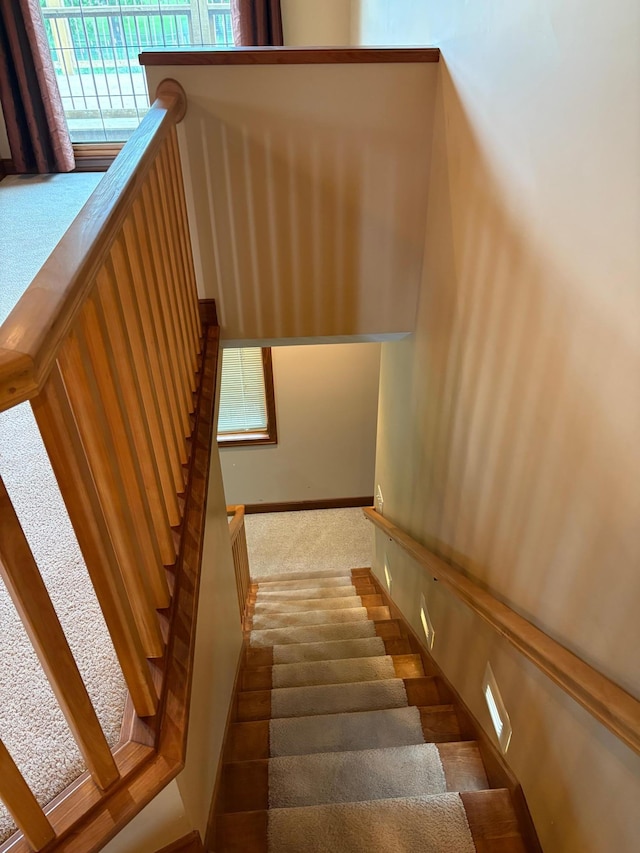 53030 254th Ave, Plainview Twp, MN 55964 - stairs with carpet and baseboards