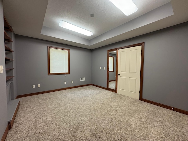 53030 254th Ave, Plainview Twp, MN 55964 - carpeted empty room with a raised ceiling and a textured ceiling