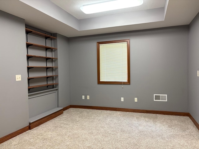 53030 254th Ave, Plainview Twp, MN 55964 - unfurnished room featuring carpet and a raised ceiling