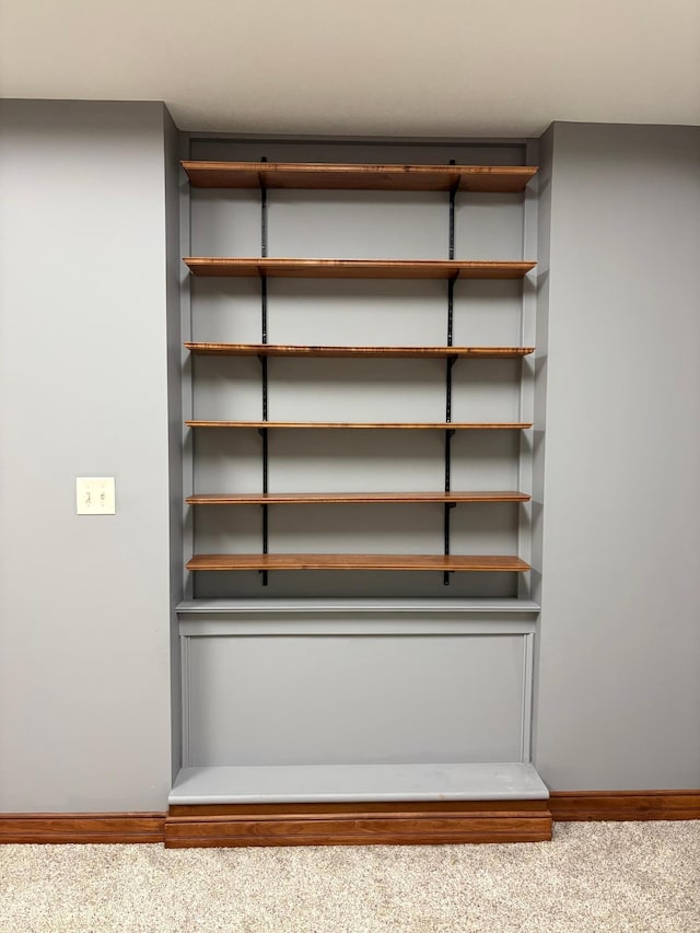 53030 254th Ave, Plainview Twp, MN 55964 - view of closet