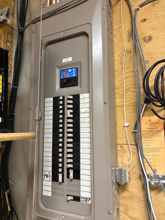 53030 254th Ave, Plainview Twp, MN 55964 - utilities with electric panel