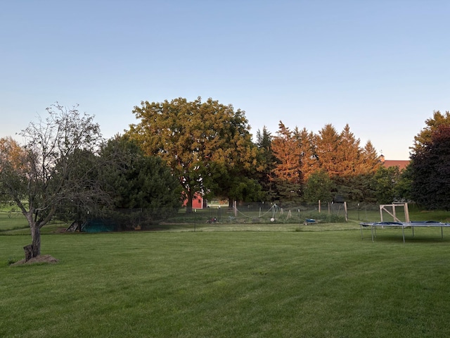 53030 254th Ave, Plainview Twp, MN 55964 - view of yard with a trampoline