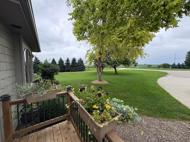 53030 254th Ave, Plainview Twp, MN 55964 - view of green lawn