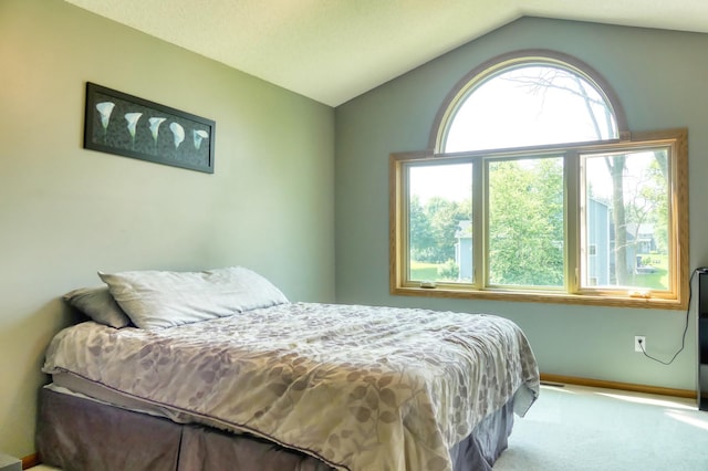 20730 Glenbrook Ave N, Forest Lake, MN 55025 - carpeted bedroom with vaulted ceiling and baseboards