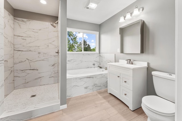 55170 Forest Blvd, Rush City, MN 55069 - full bathroom featuring a garden tub, vanity, wood finished floors, and a marble finish shower