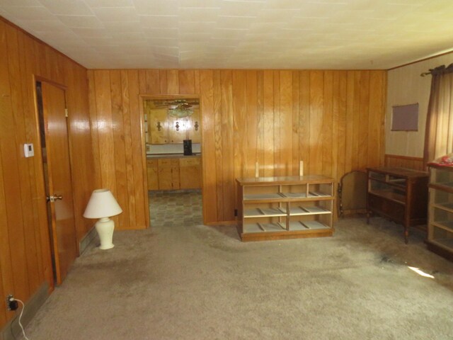 904 12th St N, Benson, MN 56215 - carpeted bedroom featuring wood walls and ensuite bath