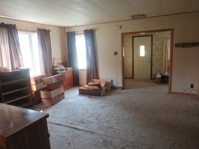 904 12th St N, Benson, MN 56215 - living area with light carpet