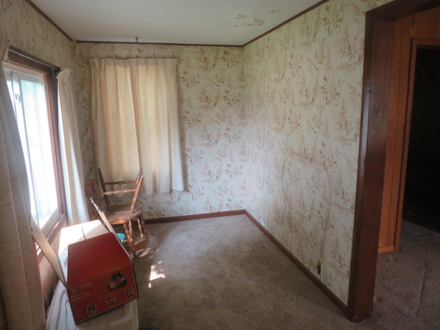 904 12th St N, Benson, MN 56215 - empty room with carpet floors and wallpapered walls