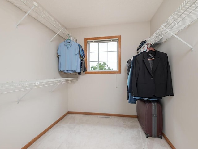 17625 48th Pl N, Plymouth, MN 55446 - walk in closet featuring carpet floors