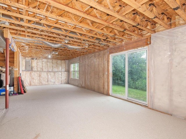 17625 48th Pl N, Plymouth, MN 55446 - below grade area featuring electric panel and carpet floors