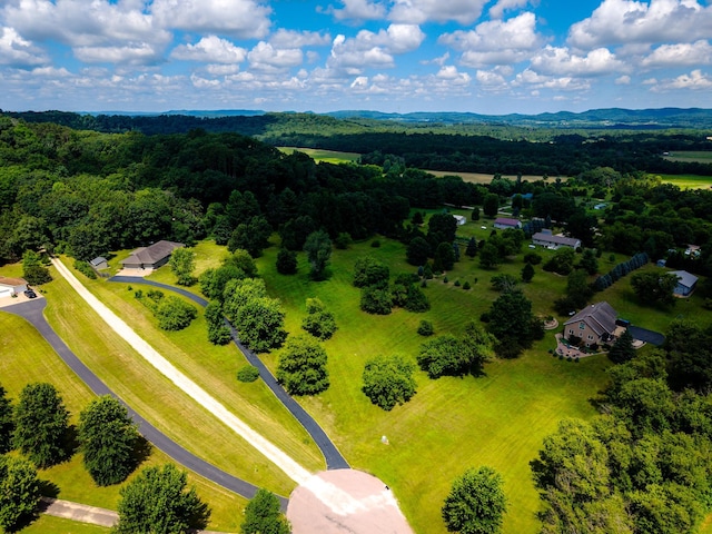 W5136 Hale Ct, Farmington Twp, WI 54636 - bird's eye view