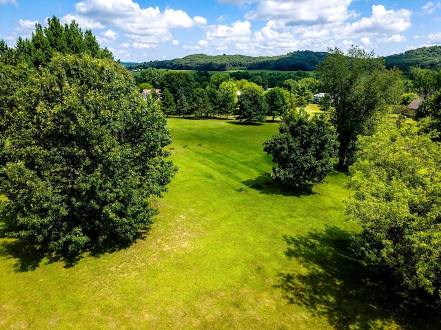 W5136 Hale Ct, Farmington Twp, WI 54636 - drone / aerial view