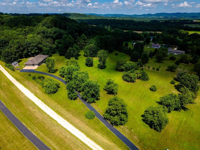 W5136 Hale Ct, Farmington Twp, WI 54636 - bird's eye view of a heavily wooded area