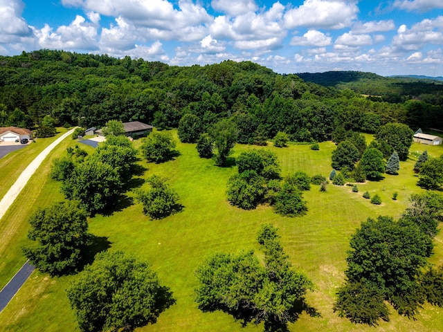 W5136 Hale Ct, Farmington Twp, WI 54636 - drone / aerial view of a heavily wooded area