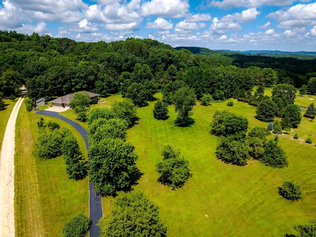 W5136 Hale Ct, Farmington Twp, WI 54636 - view from above of property featuring a forest