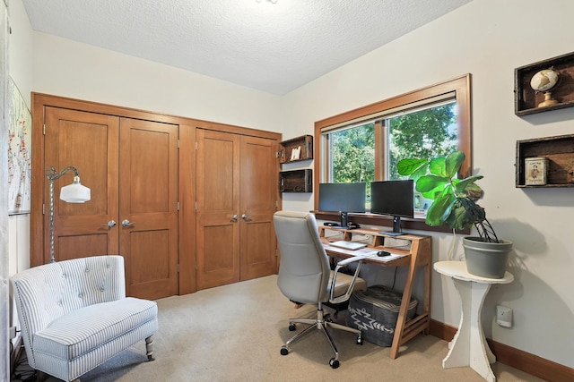 2794 Casco Point Rd, Orono, MN 55391 - office area with light colored carpet and a textured ceiling
